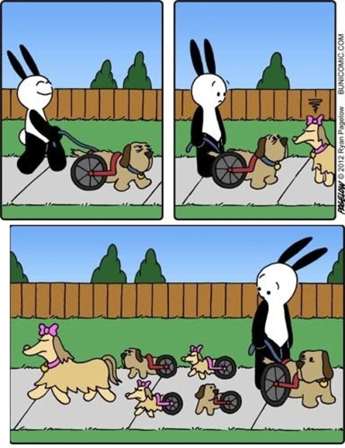 34 New ‘Buni’ Comics By Ryan Pagelow Full Of Dark Humor And Unexpected Twists 34 New ‘Buni’ Comics By Ryan Pagelow Full Of Dark Humor And Unexpected Twists