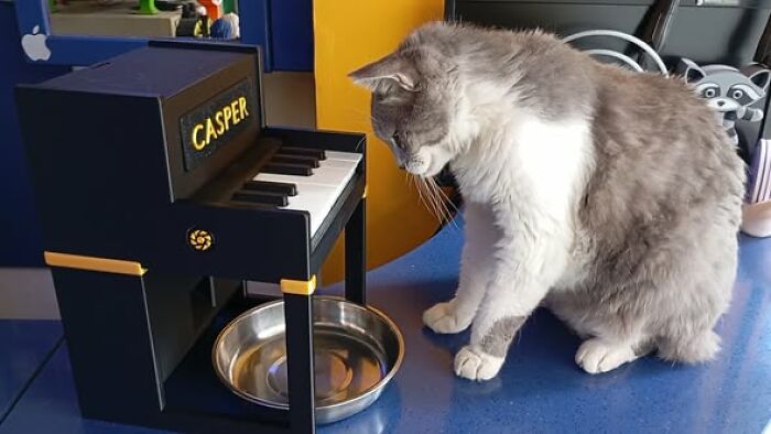 73 Functional And Cool Things People Created Using Only A 3D Printer 73 Functional And Cool Things People Created Using Only A 3D Printer