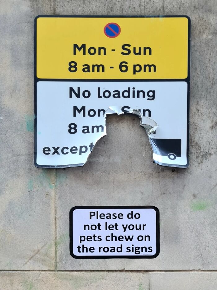This Artist Put Up 37 Brilliantly Absurd Signs That Look Official Until You Actually Read Them This Artist Put Up 37 Brilliantly Absurd Signs That Look Official Until You Actually Read Them