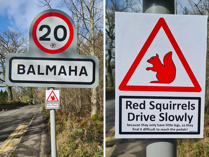This Artist Put Up 37 Brilliantly Absurd Signs That Look Official Until You Actually Read Them This Artist Put Up 37 Brilliantly Absurd Signs That Look Official Until You Actually Read Them