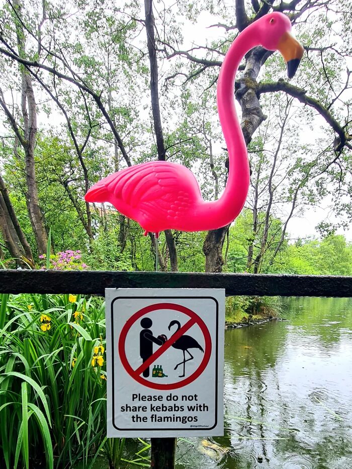 This Artist Put Up 37 Brilliantly Absurd Signs That Look Official Until You Actually Read Them This Artist Put Up 37 Brilliantly Absurd Signs That Look Official Until You Actually Read Them