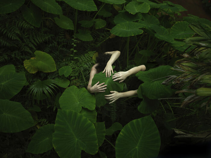 This Photographer Creates Surreal Photos By Submerging Her Subjects In Water (27 Pics) This Photographer Creates Surreal Photos By Submerging Her Subjects In Water (27 Pics)