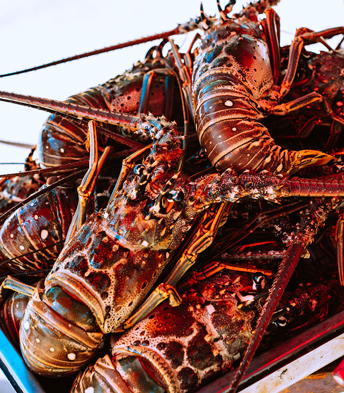 50 Food History Facts That Prove The Story Behind What We Eat Is Better Than Anything On The Menu 50 Food History Facts That Prove The Story Behind What We Eat Is Better Than Anything On The Menu