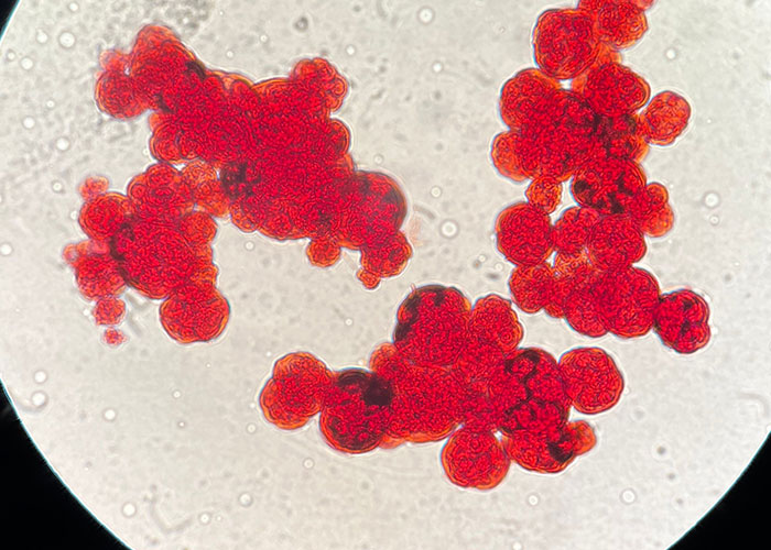 &ldquo;Blew My Frickin&rsquo; Mind&rdquo;: 46 Facts About The Human Body That Impressed Medical Students