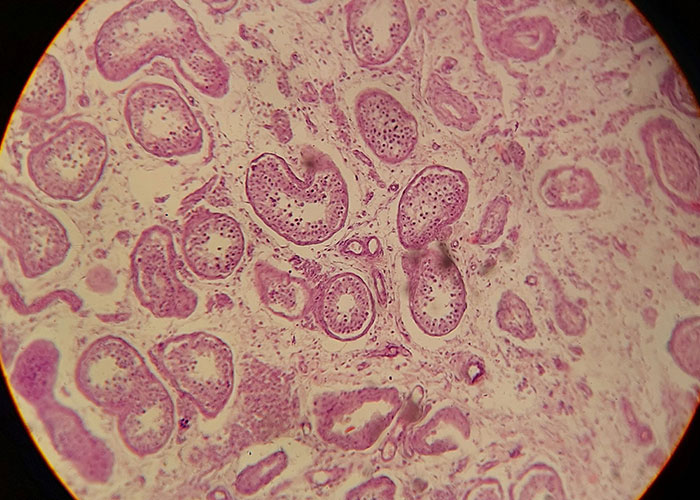 &ldquo;Blew My Frickin&rsquo; Mind&rdquo;: 46 Facts About The Human Body That Impressed Medical Students