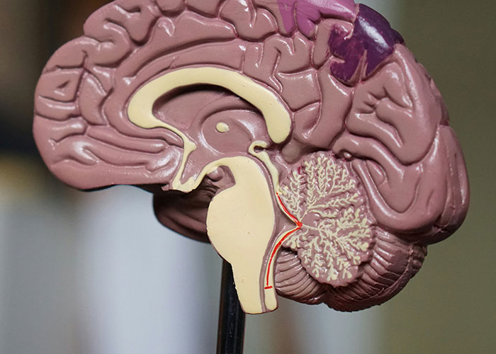 &ldquo;Blew My Frickin&rsquo; Mind&rdquo;: 46 Facts About The Human Body That Impressed Medical Students