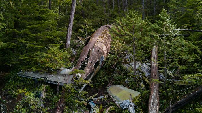 &ldquo;I Didn&rsquo;t Even Know That Was Possible: 80 Of The Most Shocking And Unusual Ways People Have Lost Their Lives
