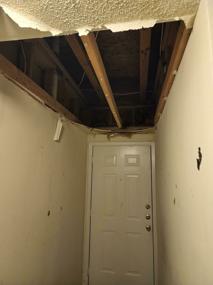 87 People Who Are Having A Way Worse Day Than You