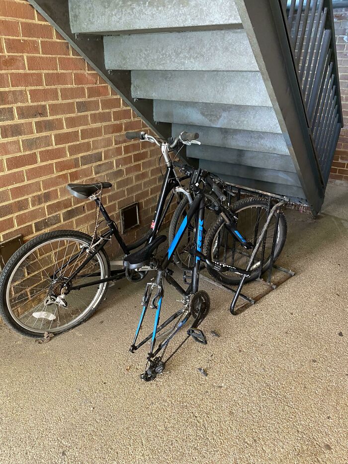 87 People Who Are Having A Way Worse Day Than You