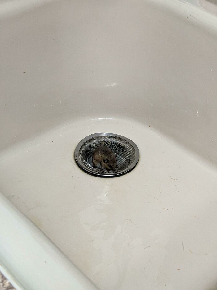 87 People Who Are Having A Way Worse Day Than You