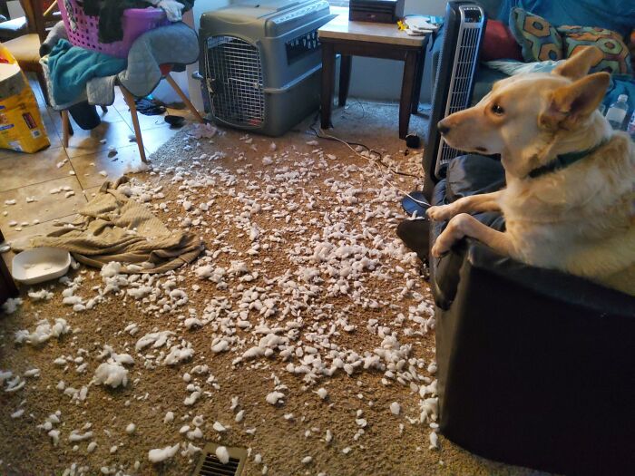 87 People Who Are Having A Way Worse Day Than You