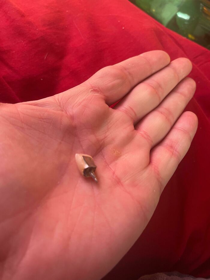87 People Who Are Having A Way Worse Day Than You