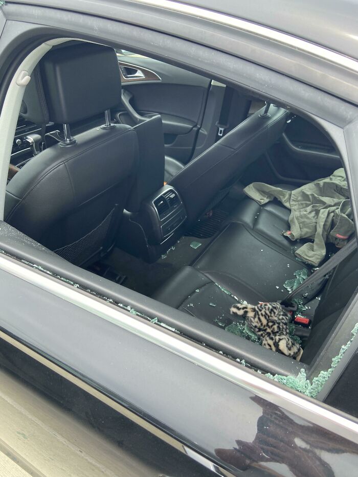 87 People Who Are Having A Way Worse Day Than You