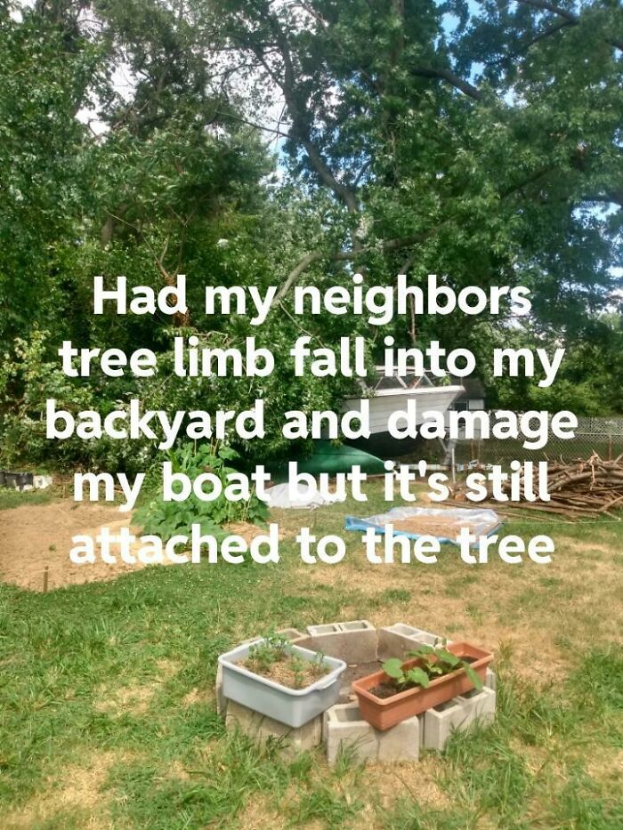 87 People Who Are Having A Way Worse Day Than You