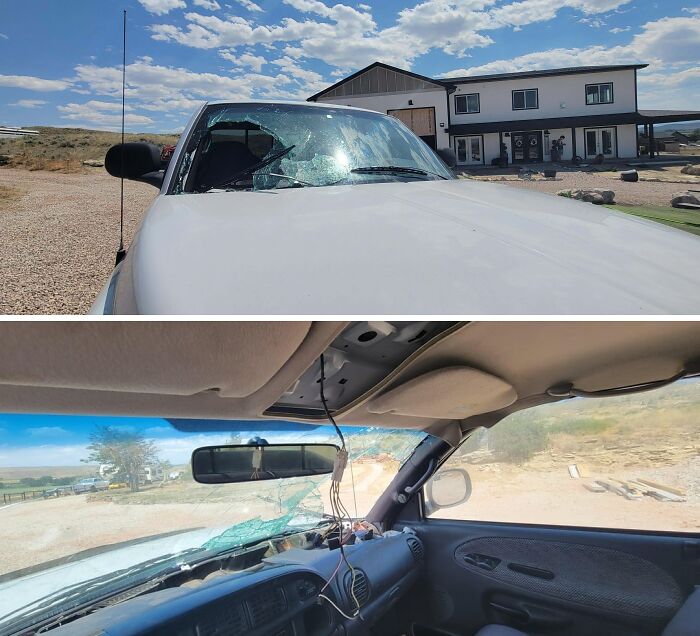 87 People Who Are Having A Way Worse Day Than You