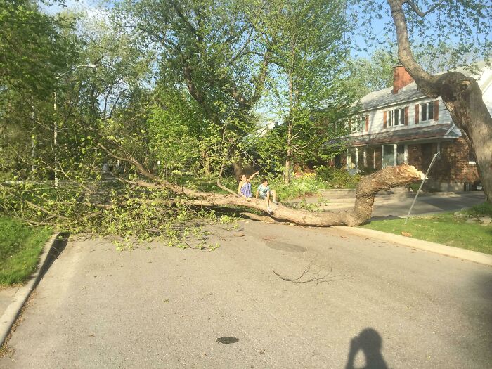 87 People Who Are Having A Way Worse Day Than You