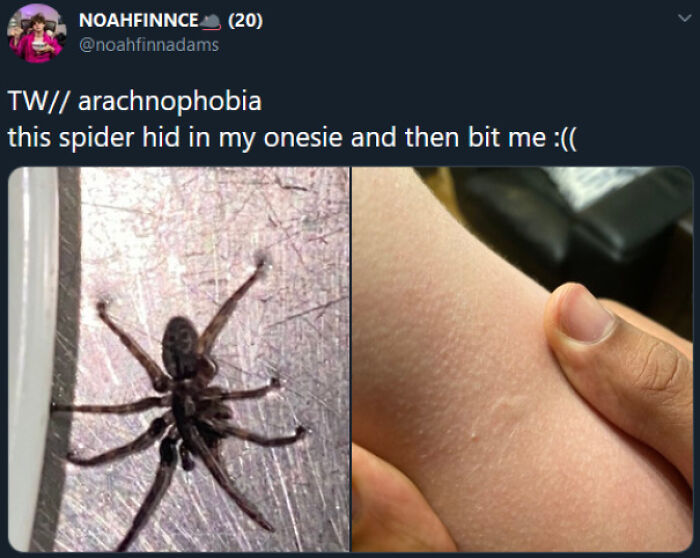 87 People Who Are Having A Way Worse Day Than You