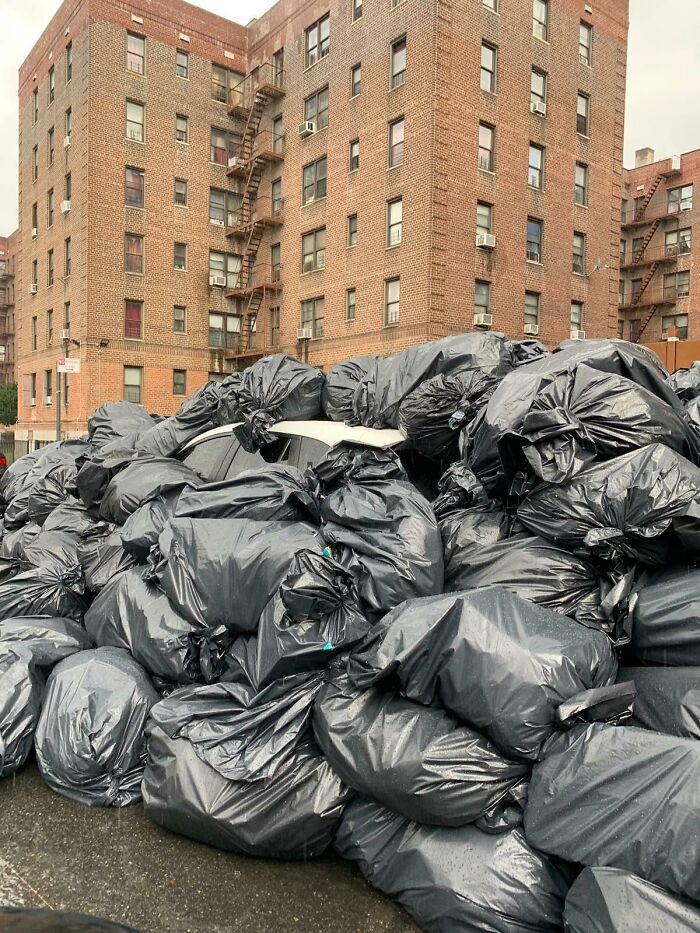 87 People Who Are Having A Way Worse Day Than You