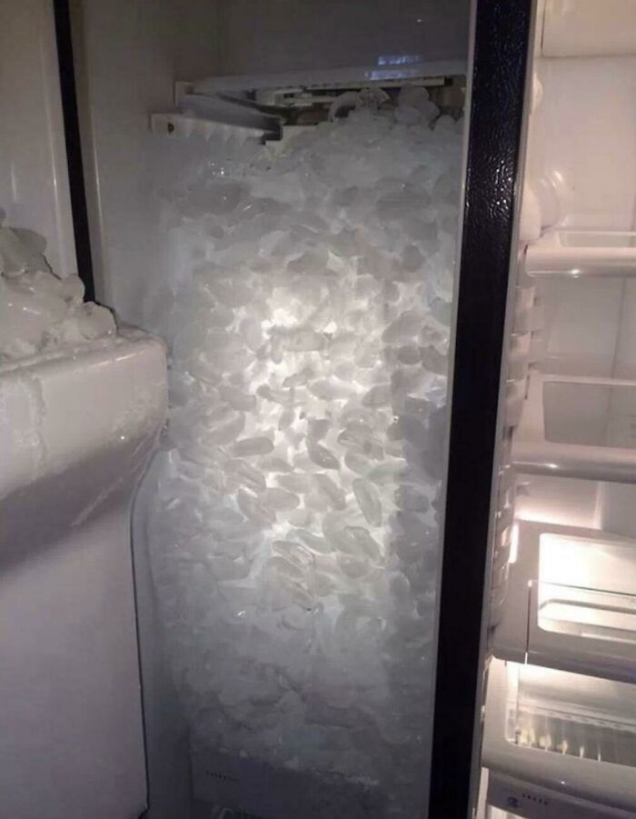 87 People Who Are Having A Way Worse Day Than You
