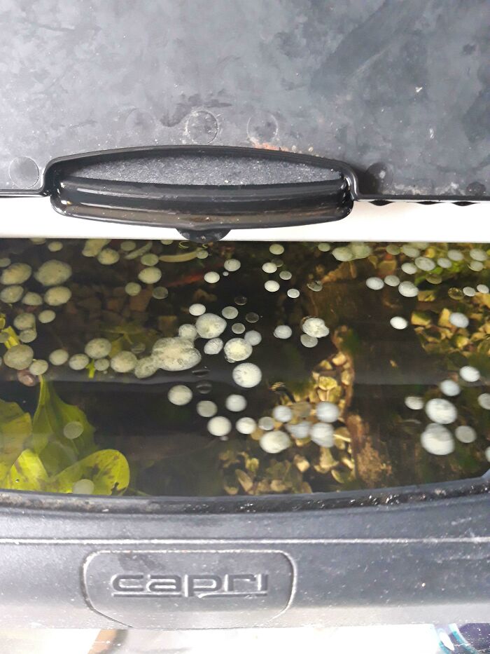 87 People Who Are Having A Way Worse Day Than You