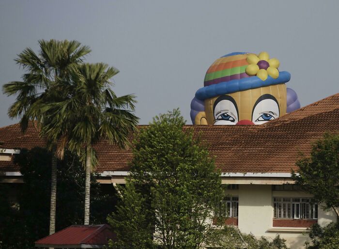 87 People Who Are Having A Way Worse Day Than You