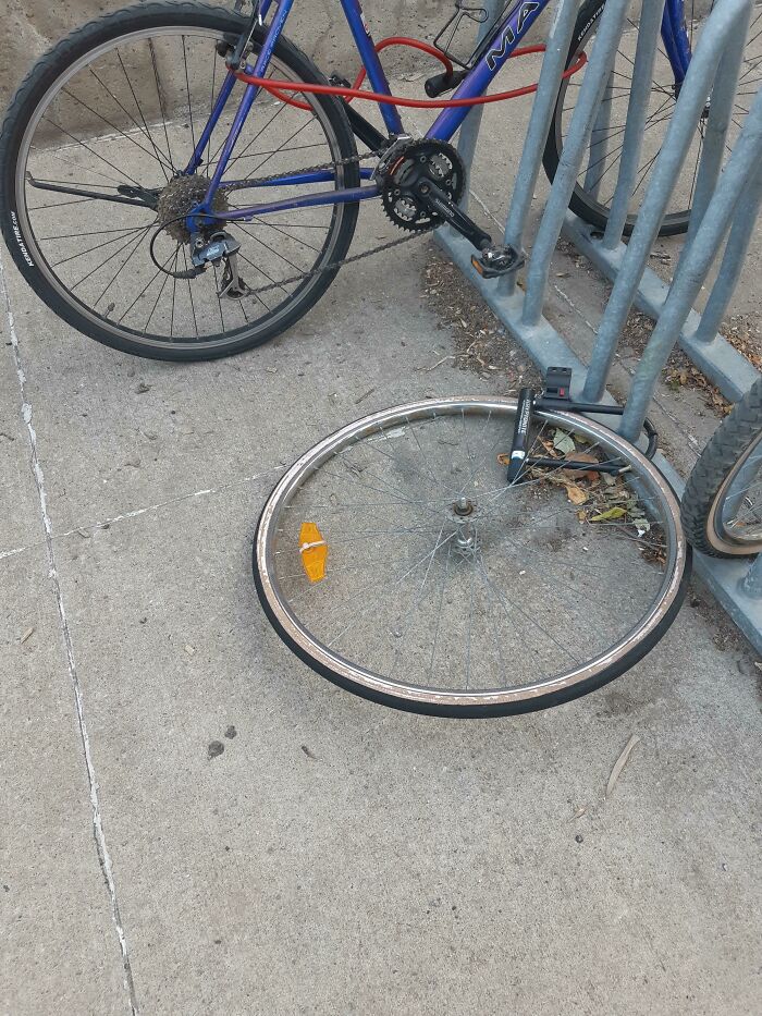 87 People Who Are Having A Way Worse Day Than You