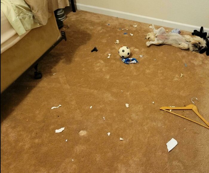 87 People Who Are Having A Way Worse Day Than You