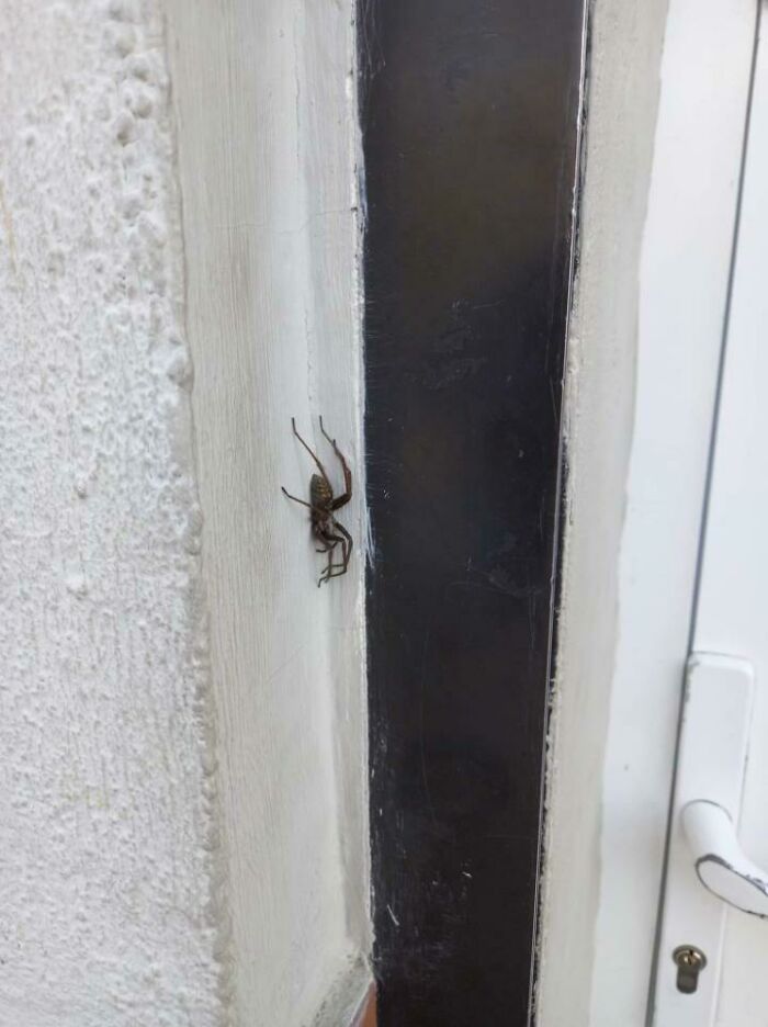87 People Who Are Having A Way Worse Day Than You