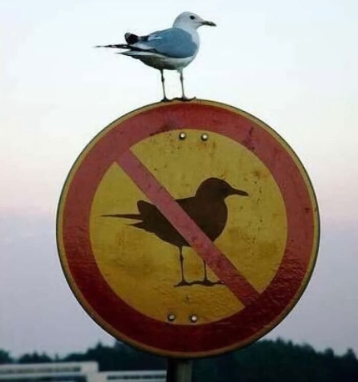 77 Signs That Hilariously Failed At The One Thing They Were Supposed To Do