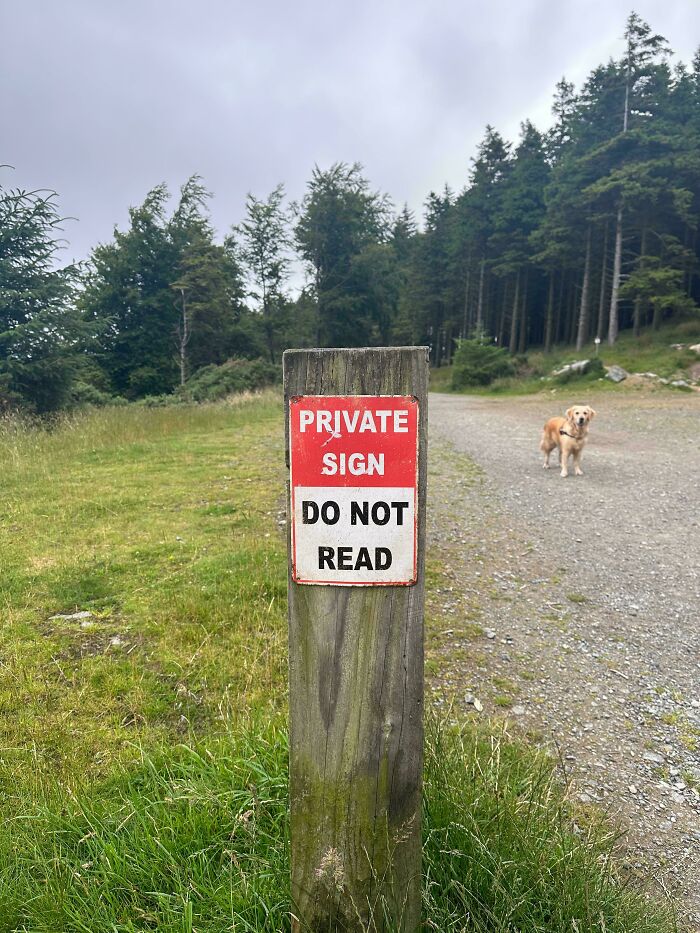 77 Signs That Hilariously Failed At The One Thing They Were Supposed To Do