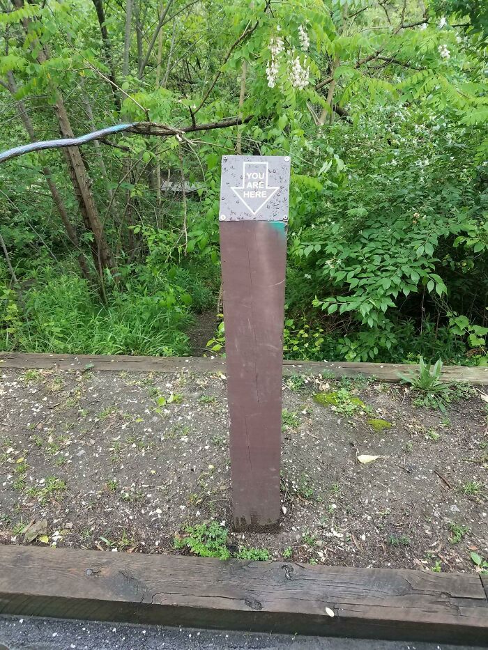 77 Signs That Hilariously Failed At The One Thing They Were Supposed To Do