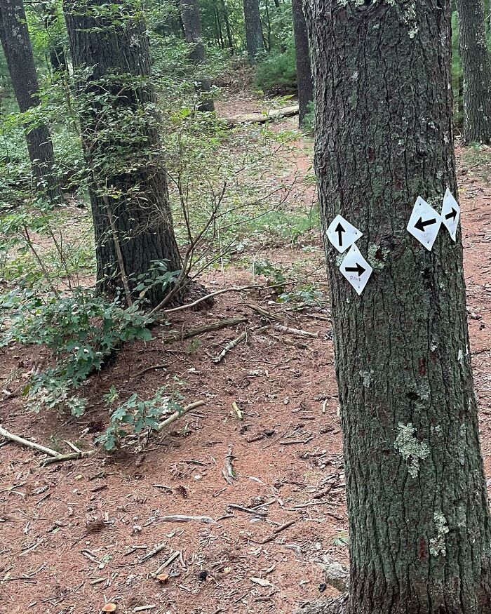 77 Signs That Hilariously Failed At The One Thing They Were Supposed To Do