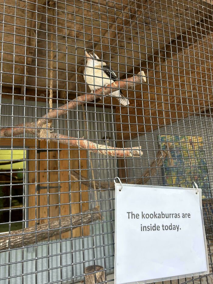 77 Signs That Hilariously Failed At The One Thing They Were Supposed To Do