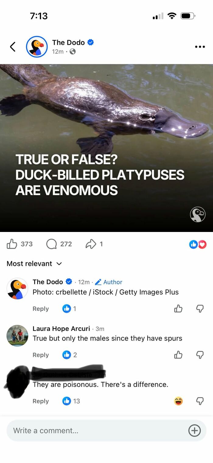 79 Times People Had The Pleasure Of Correcting Someone Online In The Most Satisfying Way