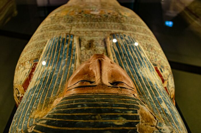 50 Disturbing Facts That Completely Changed The Way People See The World