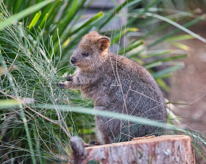 50 Disturbing Facts That Completely Changed The Way People See The World