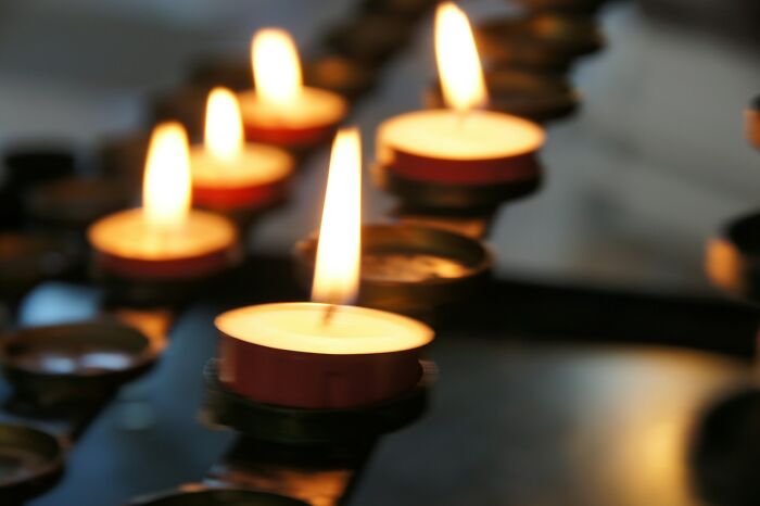 50 Disturbing Facts That Completely Changed The Way People See The World