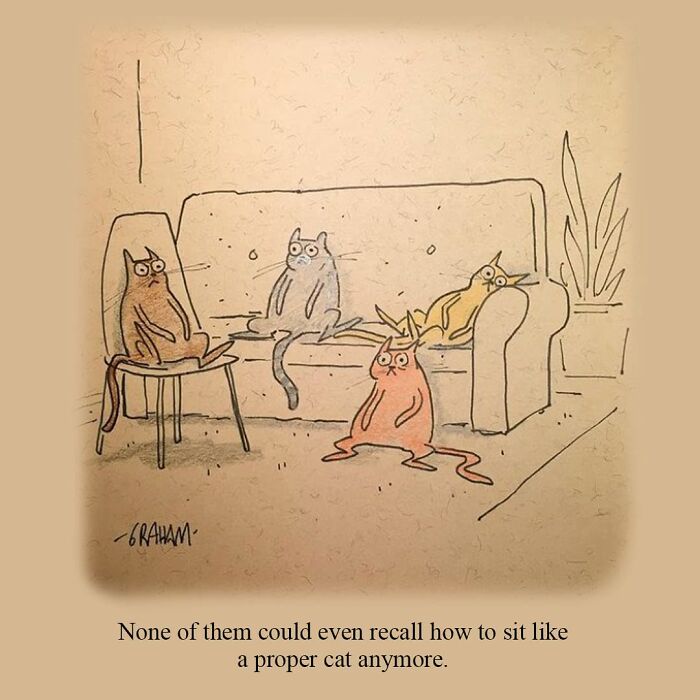 Delightfully Weird Cat Comics By This Artist That Perfectly Capture Why Felines Rule The Internet (43 Pics)