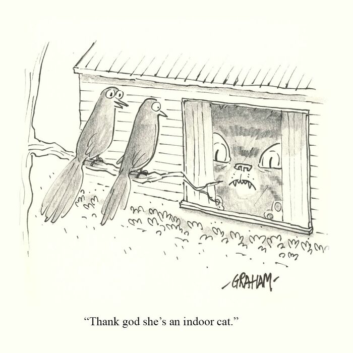 Delightfully Weird Cat Comics By This Artist That Perfectly Capture Why Felines Rule The Internet (43 Pics)
