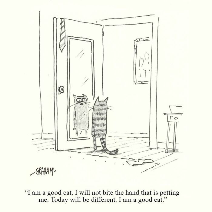 Delightfully Weird Cat Comics By This Artist That Perfectly Capture Why Felines Rule The Internet (43 Pics)