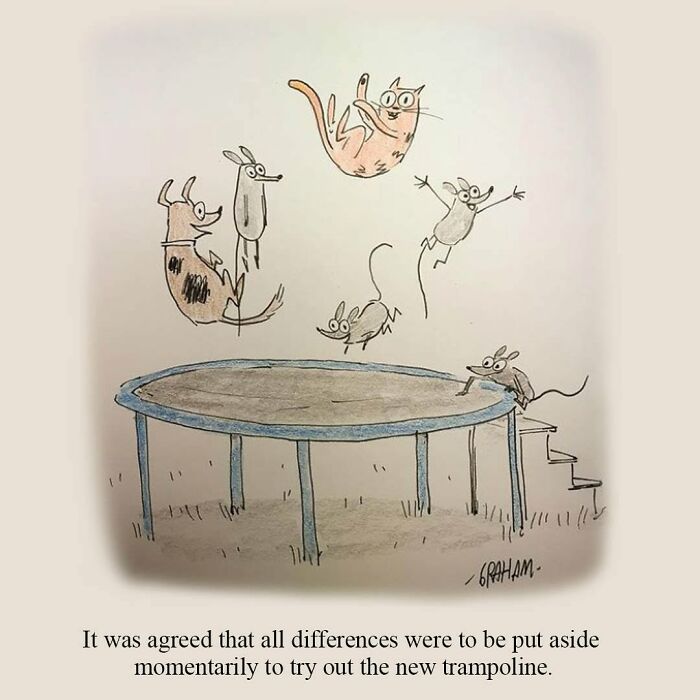 Delightfully Weird Cat Comics By This Artist That Perfectly Capture Why Felines Rule The Internet (43 Pics)