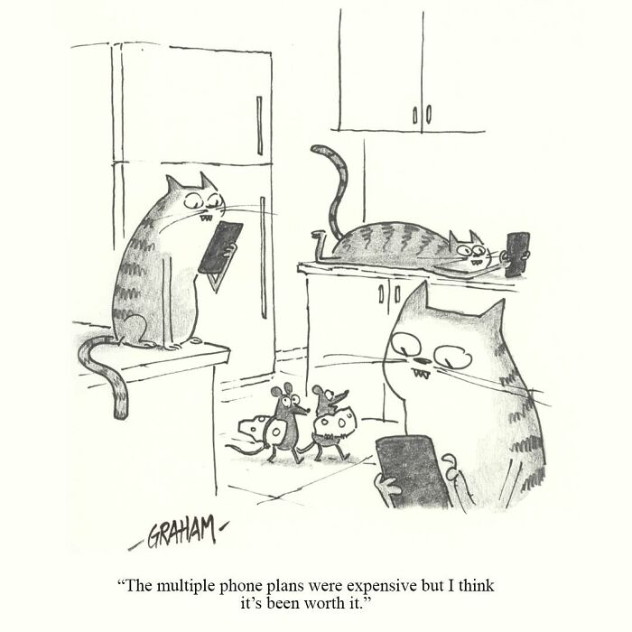 Delightfully Weird Cat Comics By This Artist That Perfectly Capture Why Felines Rule The Internet (43 Pics)