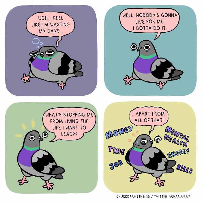 50 New Comics About A Pigeon Going Through Life And Mental Health Struggles By Chuck Mullin 50 New Comics About A Pigeon Going Through Life And Mental Health Struggles By Chuck Mullin