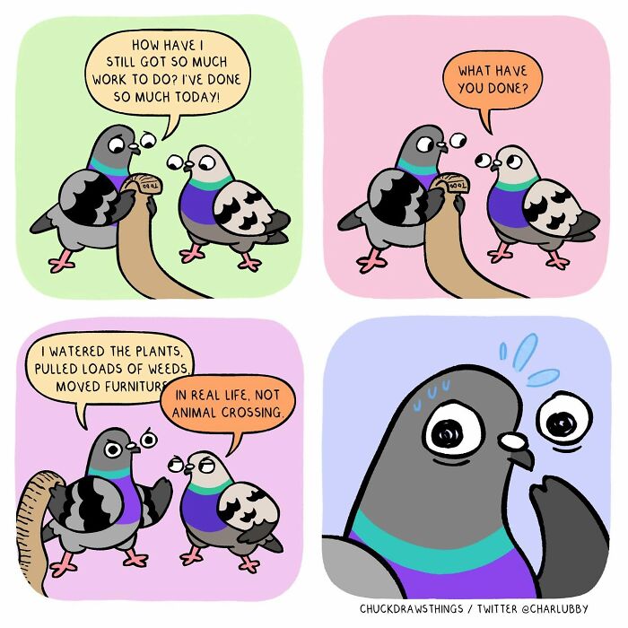 50 New Comics About A Pigeon Going Through Life And Mental Health Struggles By Chuck Mullin 50 New Comics About A Pigeon Going Through Life And Mental Health Struggles By Chuck Mullin
