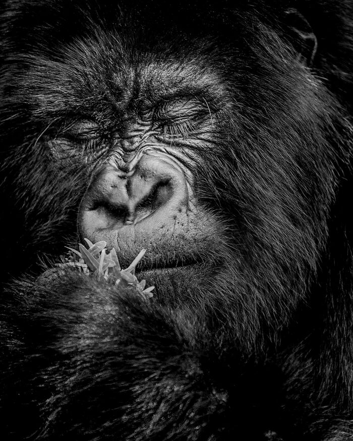 Meet The Winners: 25 Of The Best Black And White Photographs As Selected By AAP Magazine Meet The Winners: 25 Of The Best Black And White Photographs As Selected By AAP Magazine