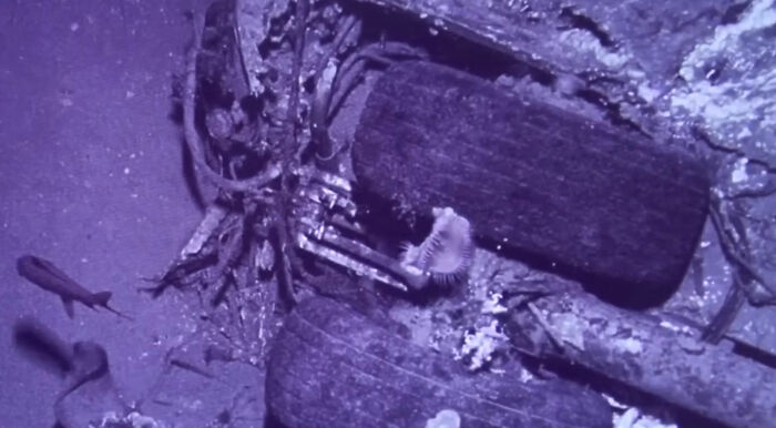 Infamous Pan Am Plane That Crashed In 1952 Finally Found 74 Years After Tragedy That Claimed 52 Lives Infamous Pan Am Plane That Crashed In 1952 Finally Found 74 Years After Tragedy That Claimed 52 Lives