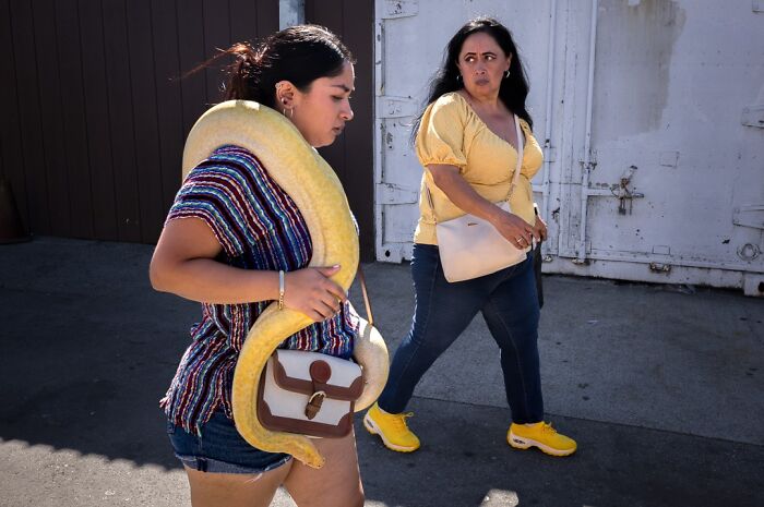 40 Times The Streets Looked Hilarious, Awkward, And Totally Relatable Through This Photographer’s Lens (New Pics) 40 Times The Streets Looked Hilarious, Awkward, And Totally Relatable Through This Photographer’s Lens (New Pics)