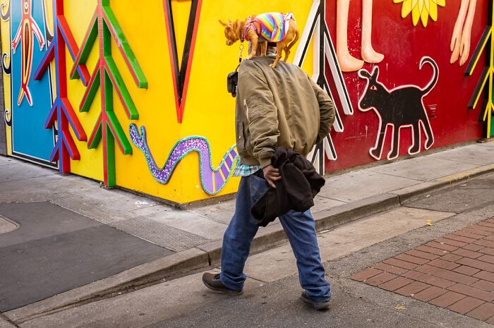 40 Times The Streets Looked Hilarious, Awkward, And Totally Relatable Through This Photographer’s Lens (New Pics) 40 Times The Streets Looked Hilarious, Awkward, And Totally Relatable Through This Photographer’s Lens (New Pics)