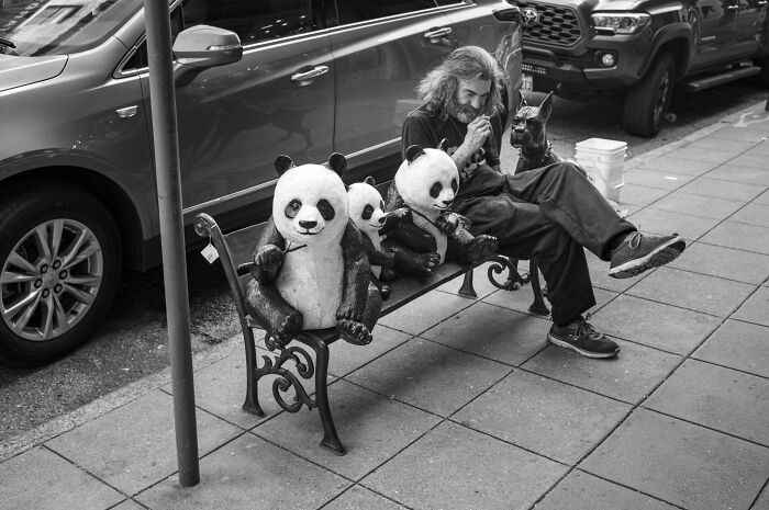 40 Times The Streets Looked Hilarious, Awkward, And Totally Relatable Through This Photographer’s Lens (New Pics) 40 Times The Streets Looked Hilarious, Awkward, And Totally Relatable Through This Photographer’s Lens (New Pics)
