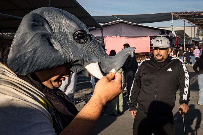 40 Times The Streets Looked Hilarious, Awkward, And Totally Relatable Through This Photographer’s Lens (New Pics) 40 Times The Streets Looked Hilarious, Awkward, And Totally Relatable Through This Photographer’s Lens (New Pics)